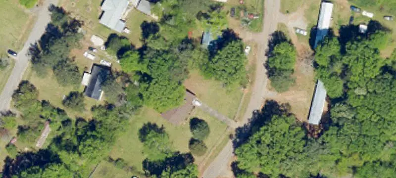 Pasture and Pine Farmland