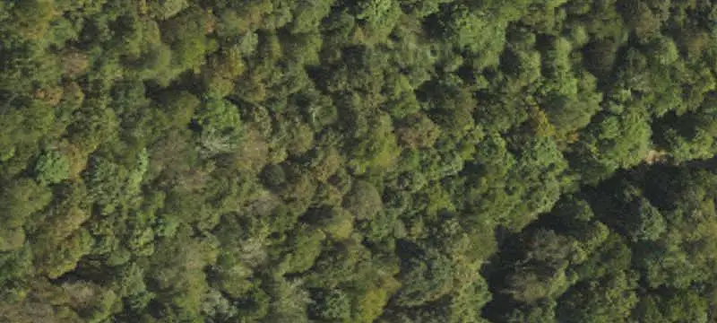Lot-Land