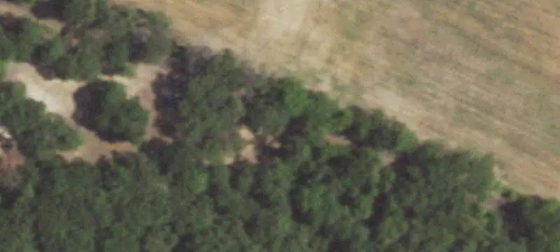 Timbered Recreational Land