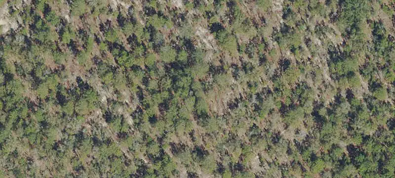 Highway-Frontage Commercial Land