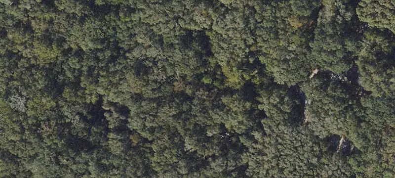 Lots/Land