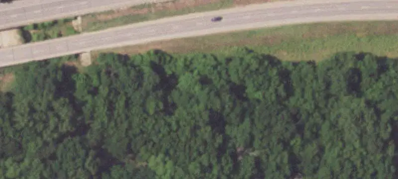 Wooded Agricultural Land