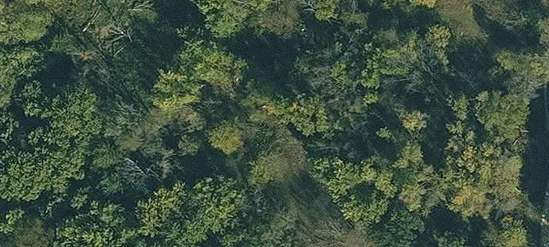 Cedar River Waterfront Land