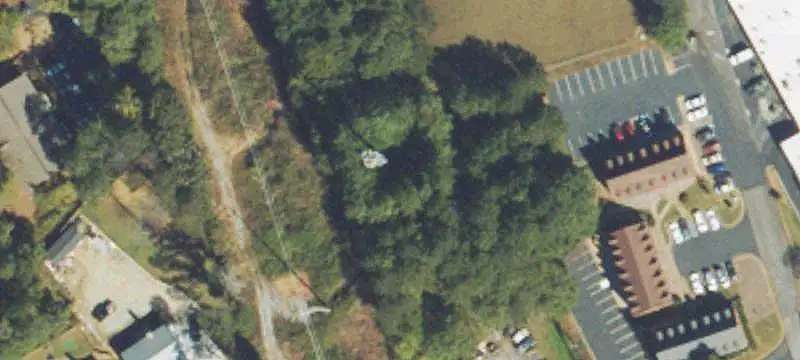Wooded Office Building