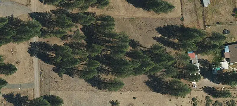 Tree-Covered Land Parcel