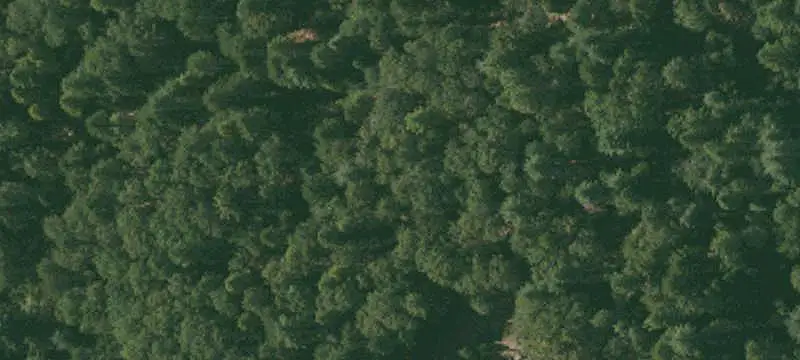 Forest Recreation Land
