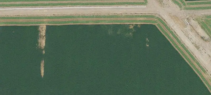Riverfront Farm with Farmhouse