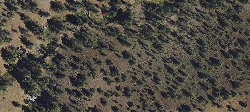 Hunting Land With Mountain Views