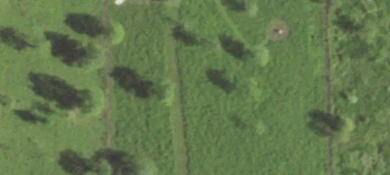 Fenced Agricultural Land