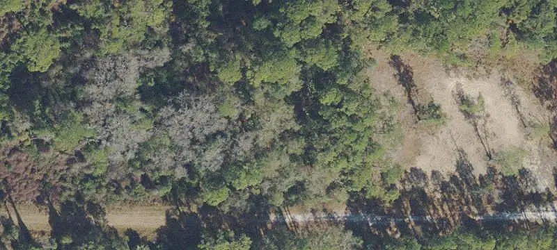 Land/Lot
