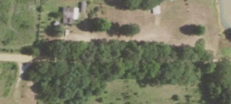 Hardwood Timber Hunting Land