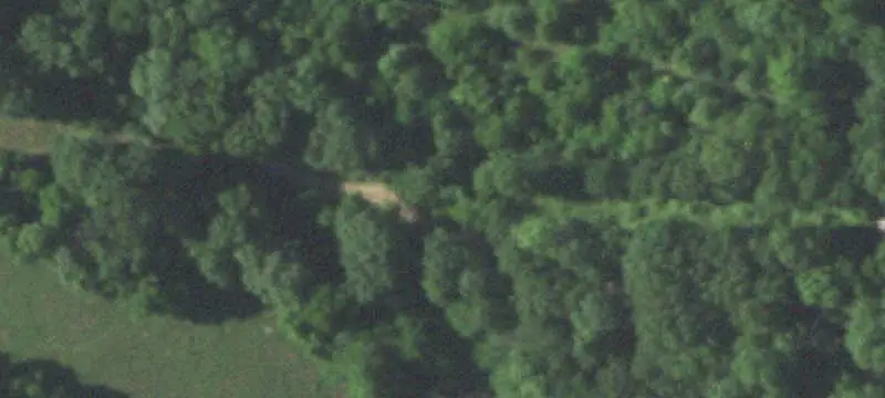 Wooded Hunting Land Tract