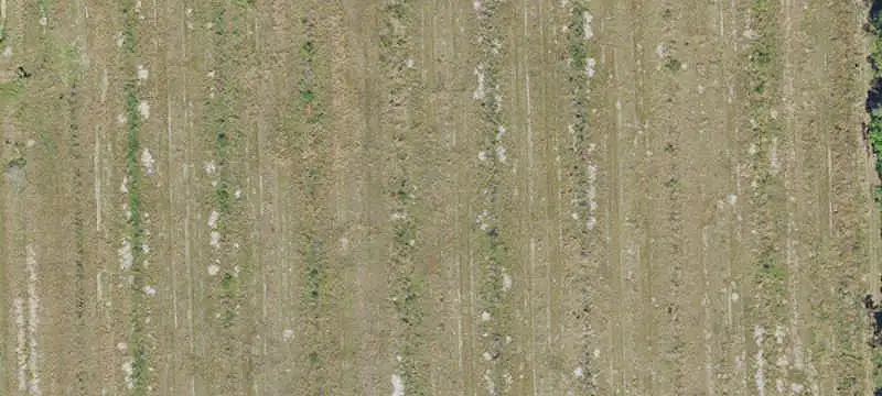 Cleared Level Land Parcel
