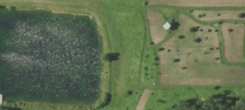 Wooded Recreation Land with Garage