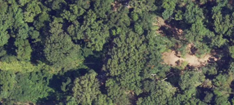 Hunting Land with Updated Camp