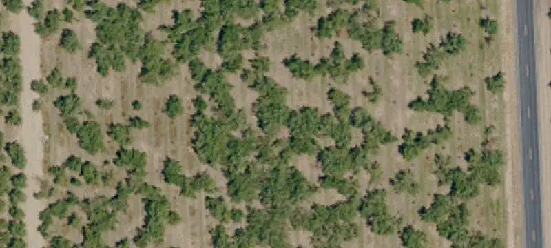 Almond Orchard Farm