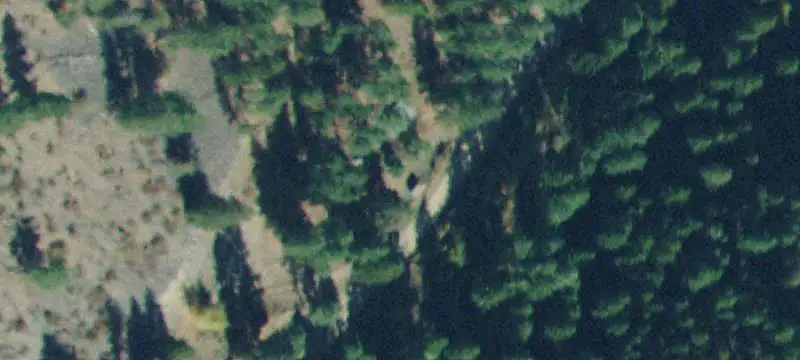 Hunting Land with Two Cabins