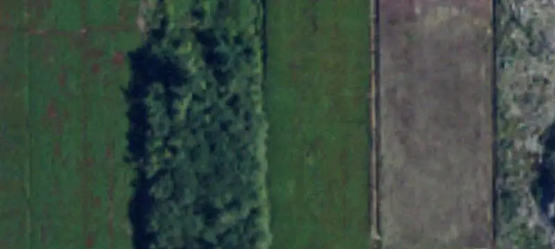 Working Cranberry Farm