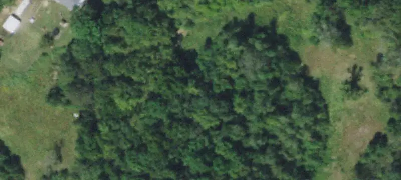 Wooded Hunting Land