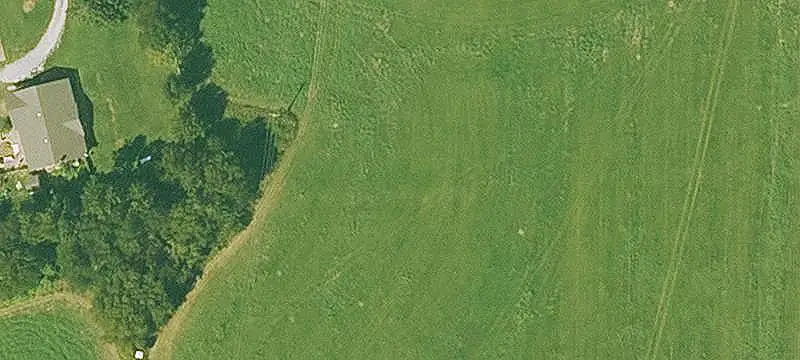 Five-House Broiler Farm
