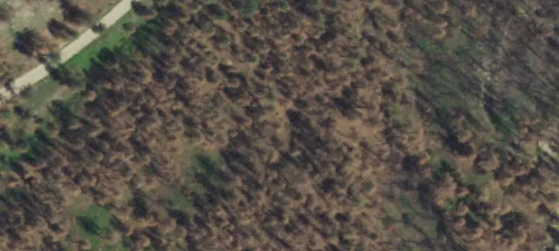 Land