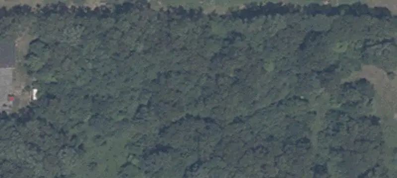 Wooded Commercial Land