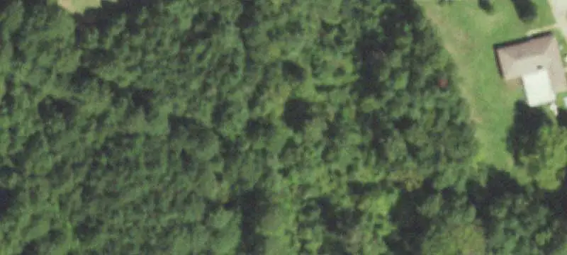 Wooded Hunting Land