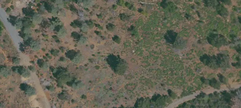 Land