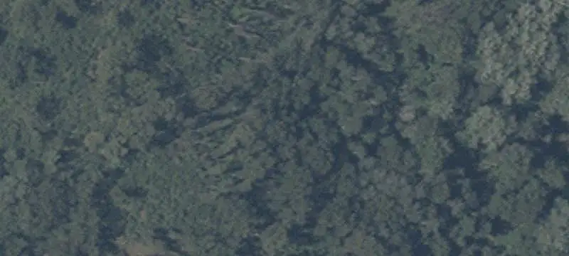 Waterfront Land with Lake Frontage