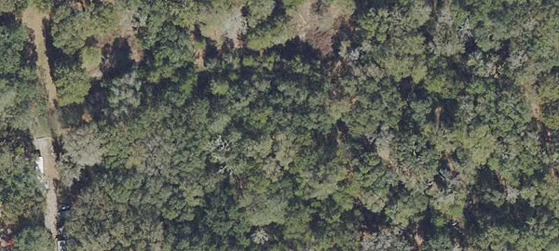 Wooded Acreage with Road Frontage
