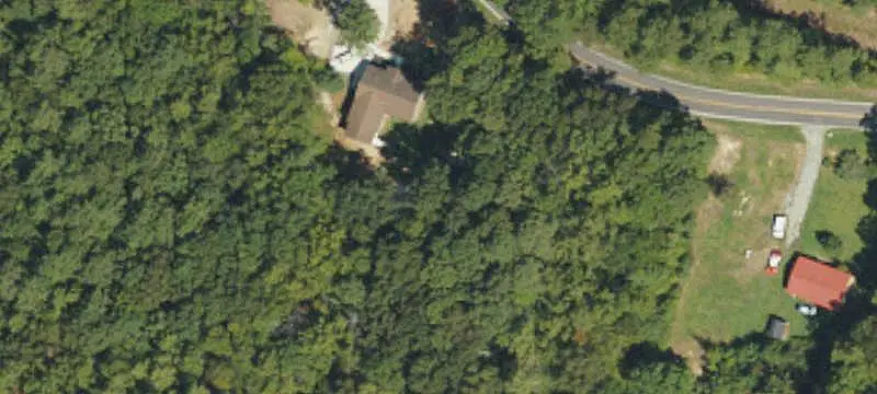 Wooded Land with Road Utilities