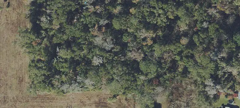 Vacant Land