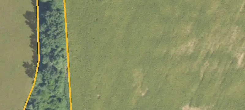 Unimproved Land