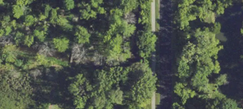 54-Bed Assisted Living Facility