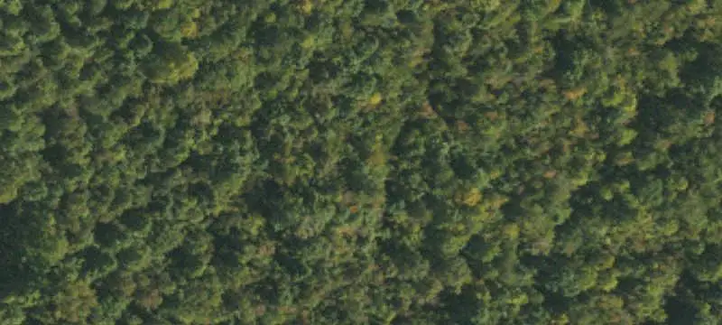 Commercial Land Near I-85