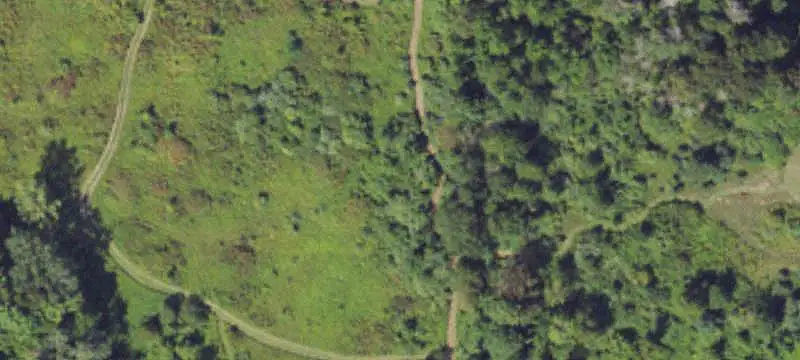 Hunting Land with Trail Network