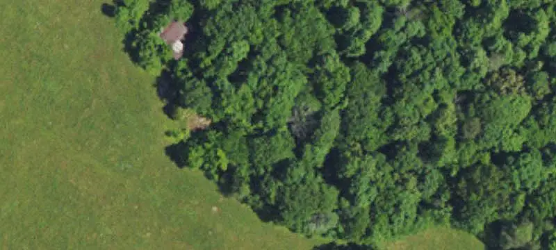 Agricultural Land with Timber