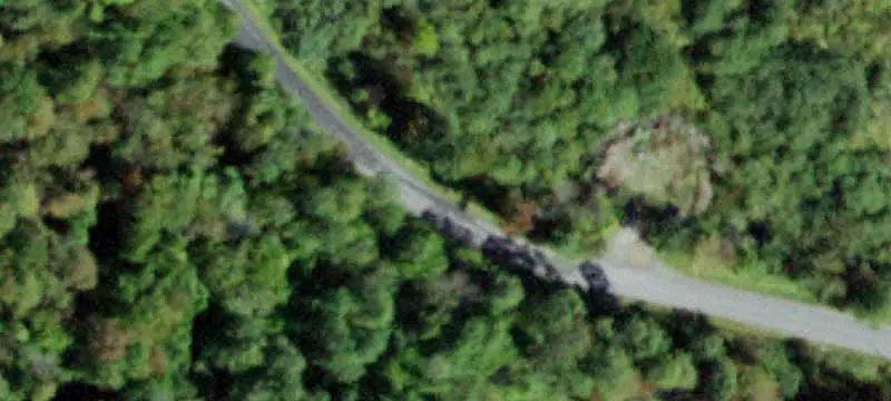 Wooded Hunting Land