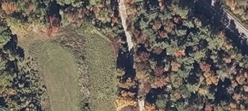Wooded Hunting Land
