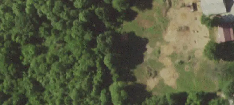 Young Timber Hunting Land