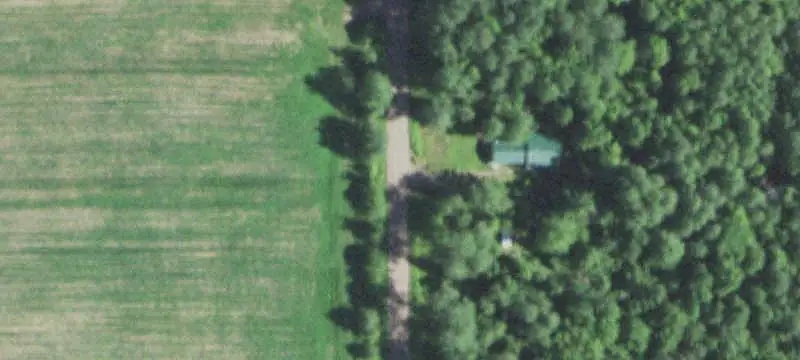 Wooded Hunting Land