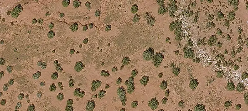 Ponderosa Pine Agricultural Land