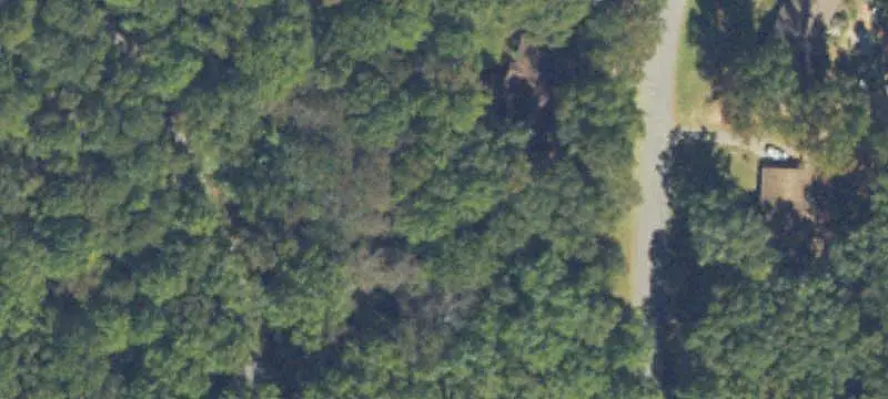 Land / Other