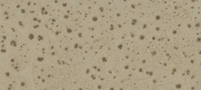 6012 Arizona, Joshua Tree, CA 92252