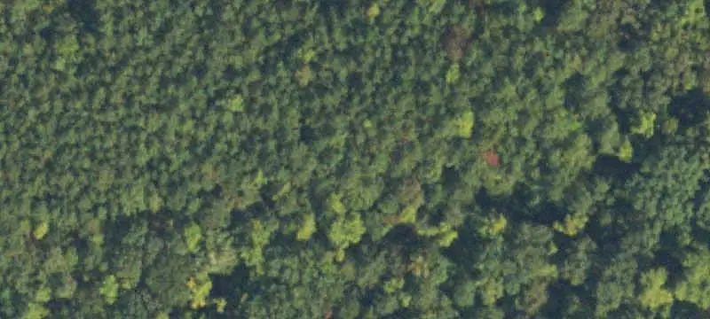 Lots/Land
