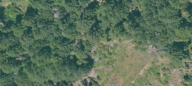Waterfront Land with Creek Frontage