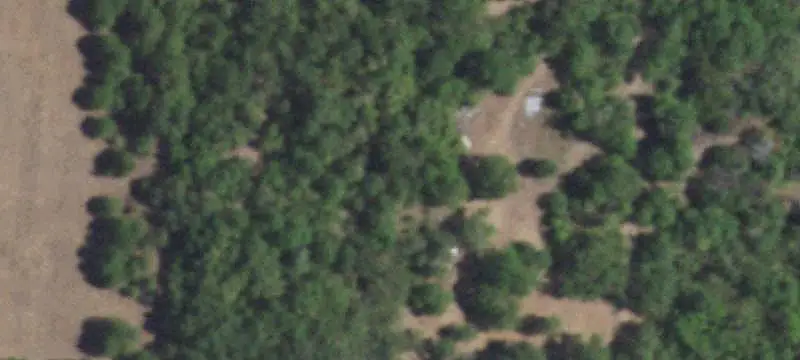 Wooded Hunting Land