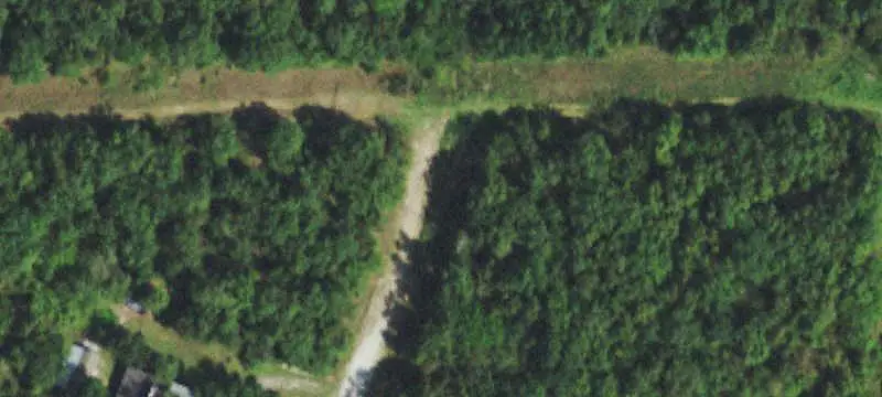Wooded Hunting Land