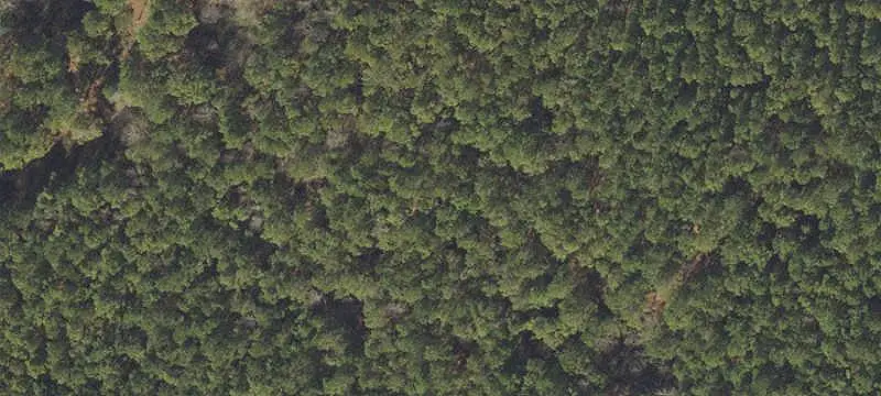 Lots/Land