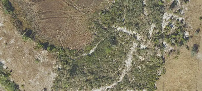 Land